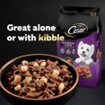 thumbnail image 6 of Cesar Home Delights Beef Flavor with Vegetables in Sauce Adult Wet Dog Food, 3.5 oz Trays, 24 Ct, 6 of 11