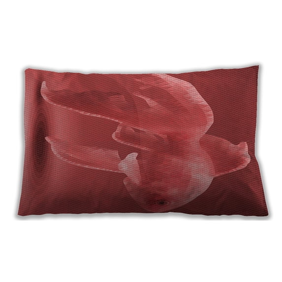 Ahgly Company Indoor Rectangular Contemporary Lumbar Throw Pillow, 13 inch by 19 inch