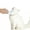 Blue, variant on Bisitoy Cat Brush, Self Cleaning Slicker Dog Brush, Upgraded Dog Brush for Shedding Massaging and Grooming, Removes Loose Undercoat & Portable Comb (Gray)