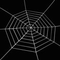 thumbnail image 5 of Tel de tels para decoración de exterior de Halloween 7 Sunnimix Halloween Spider Wed, 5 of 5