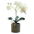 thumbnail image 1 of Advancent Bonsái de orquídeas artificiales con maceta Phalaenopsis para el hogar, jardín, Color brillante, decoración de boda al aire libre Type8 NO8, 1 of 6