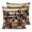 brown, variant on 18x18 Pillow Covers Set of 2, African Women Throw Pillow Covers Decorative Couch Cushion Case, Black Boho Tradition Ethnic Southwest Microfiber Square Pillowcases for Bedroom Car Living Room