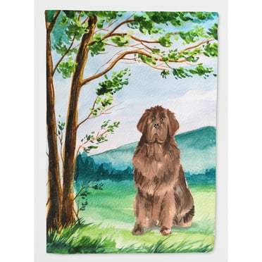 Carolines Treasures CK2563CHF Under the Tree Newfoundland Flag Canvas House Size  Large multicolor