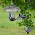 thumbnail image 5 of Outdoor Bird Feeder Protective Dome Cover Rainproof Guard for Sloped Gardens and Yard Porch, 5 of 5