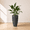 Black, variant on Ecobo 20.9-Inch Tall Eco-Friendly Round Pot Planter | Indoor/Outdoor Use, Durable, Versatile, and Lightweight | Contemporary All-Weather Design by Brazilian Artisans - Black