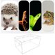 thumbnail image 2 of Mini-Terrarium-Tragebox, Acryl-Reptilien-Futterbox, tragbare Reptilien-Zuchtbox, transparente Reptilien-Zuchtkoffer für Spinnenechsen, Eidechsen, Skorpione, Tausendfüßler, gehörnte Frösche,, 2 of 5