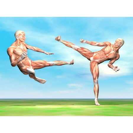 Two male musculatures fighting martial arts Poster Print by Elena DuvernayStocktrek
