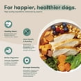 thumbnail image 5 of Jinx Senior Chicken, Brown Rice, & Sweet Potato Kibble, 23.5 lb, 5 of 12