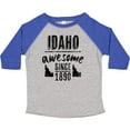 thumbnail image 3 of Inktastic Idaho Awesome Since 1890 Boys or Girls Toddler T-Shirt, 3 of 5