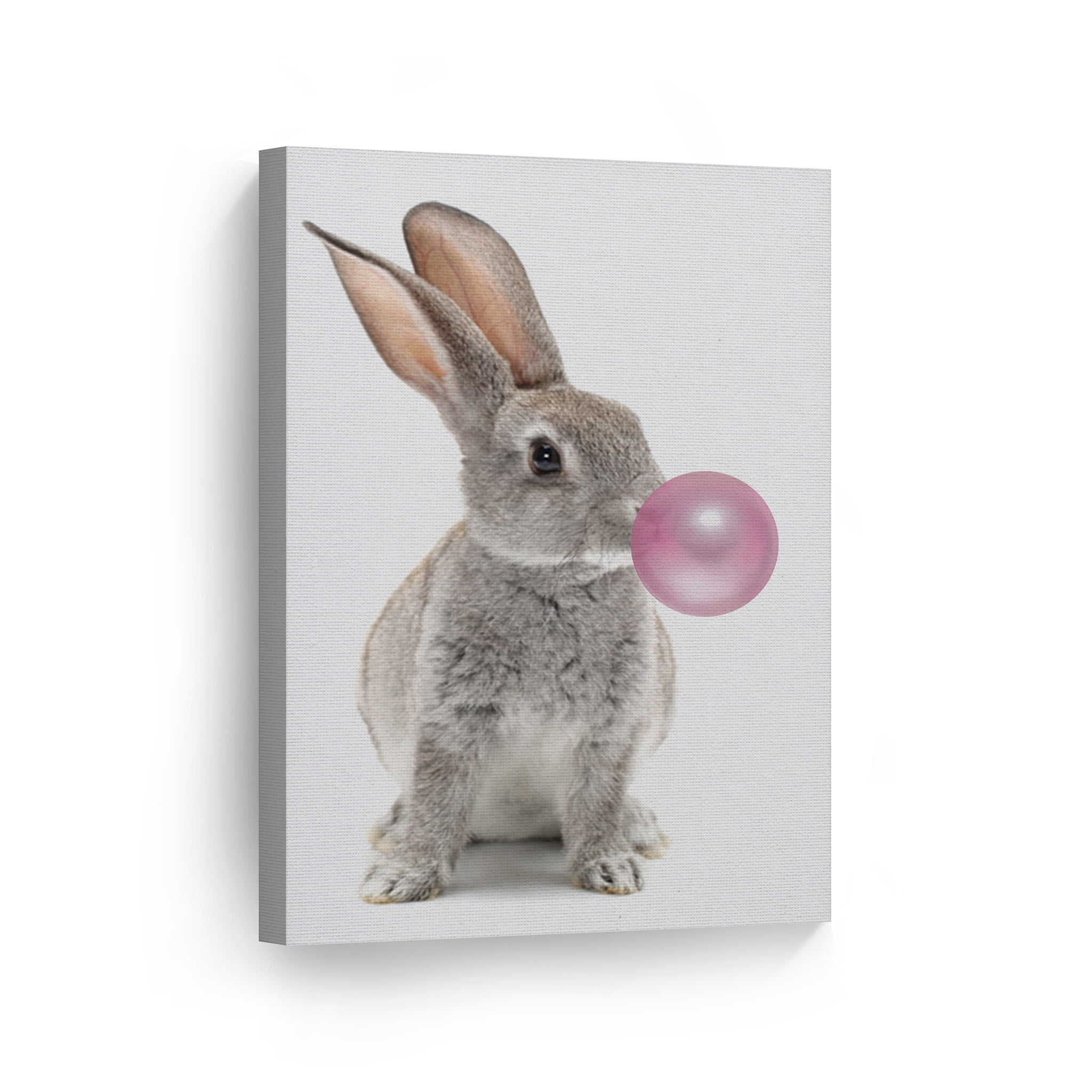 Кролик с жевательной резинкой