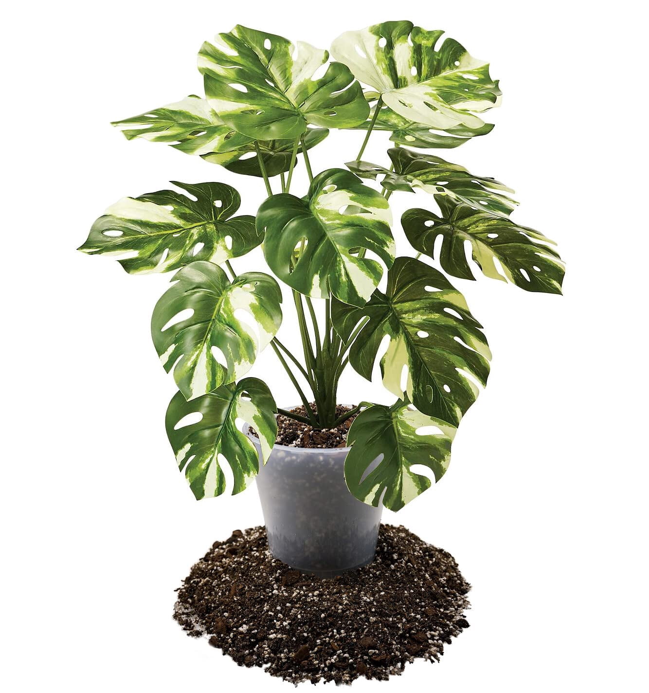 ⭐ Gardenera Labs PREMIUM Aroid Potting Mix - 4 QUART - Soil Free Blend for Aroids - Growing Medium for House Plant