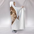 thumbnail image 2 of Hiding Cat Hooded Blanket, 2 of 4