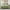 Sage Green, variant on Amberspace Prewashed fabric 7-piece Bed in a Bag Comforter Set with Sheets,Sage green,Queen