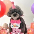 thumbnail image 3 of Gorro y bufanda para fiesta de cumpleaños de mascotas, baberos para perros y gatos y gorros para disfrazarse de mascotas, gorros para gatos y toalla para saliva, estética elegante, 3 of 10