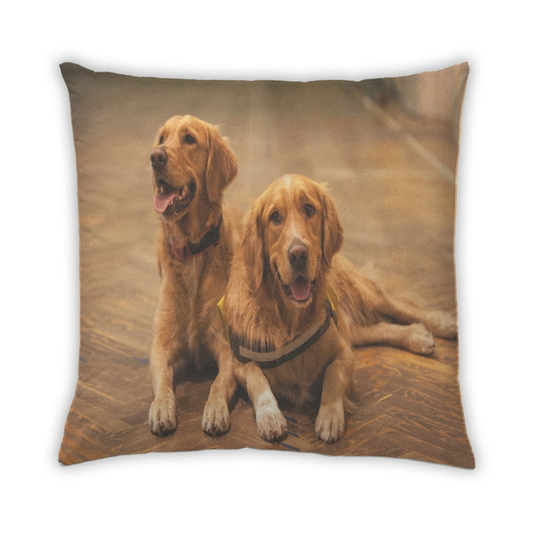 Ahgly Company Dogs Golden Retriever Outdoor Throw Pillow 18 inch by 18 inch Walmart