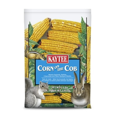 Kaytee Corn on the OIF8 Cob, Attracts Squirrels, Chipmunks, Rabbits and Other Small Wildlife