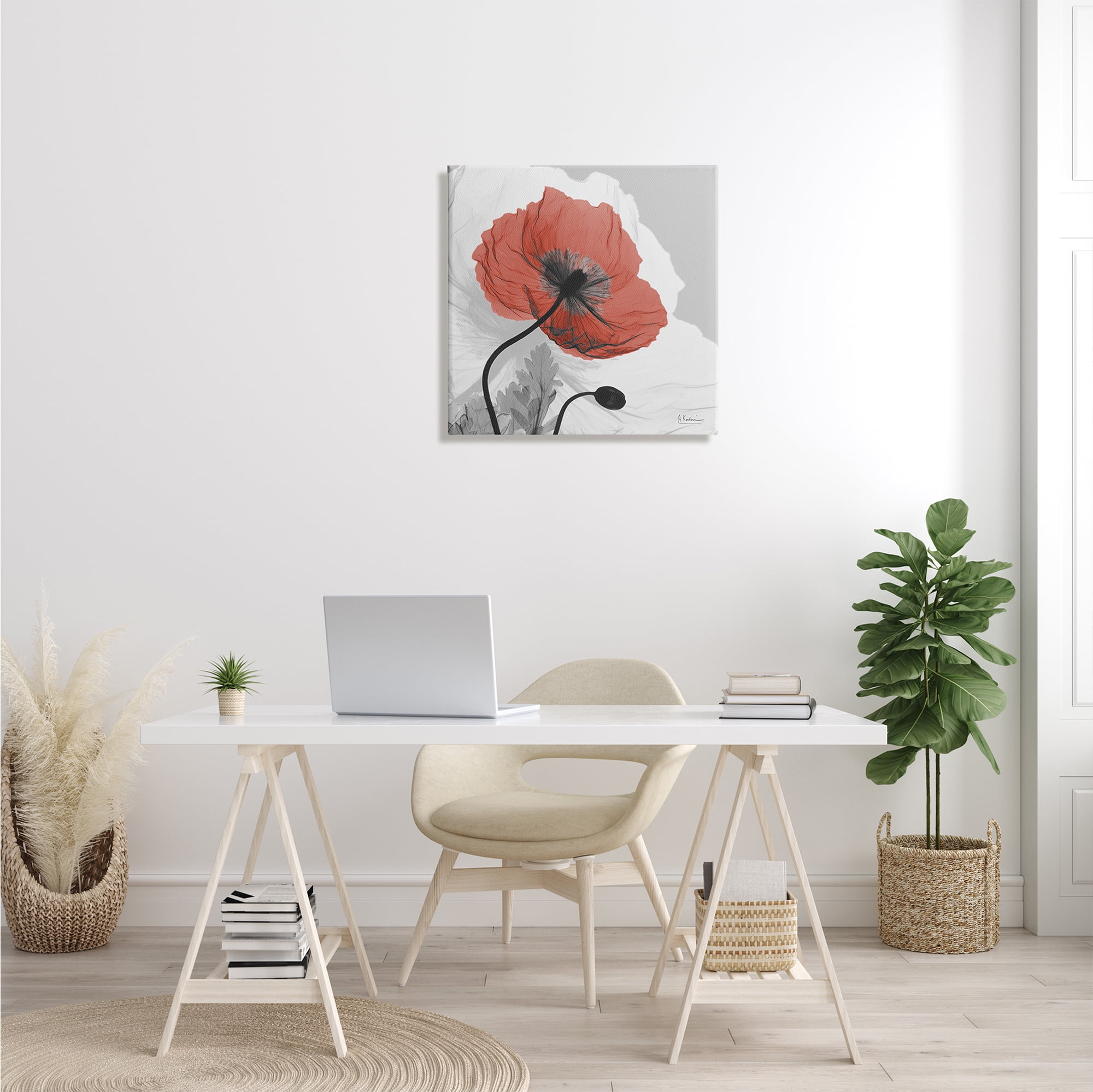 Stupell Industries Translucent Red Poppy Floral Modern Flower Botanical & Floral Photography Gallery Wrapped Canvas Print Wall Art, 24 x 24