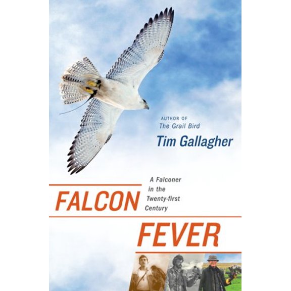 Pre-Owned Falcon Fever: A Falconer in the Twenty-first Century (Hardcover) 0618805753 9780618805754