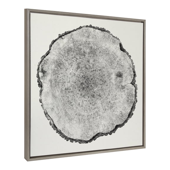Kate and Laurel Sylvie Tree Rings 1 Framed Linen Textured Canvas Wall Art by Emiko and Mark Franzen of F2Images, 30x30 Gray, Organic Tree Art for Wall