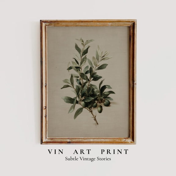 Olive Branch Botanical Wall Art Minimal Mediterranean Farmhouse Decor, Unframed Paper Print Size 8x12