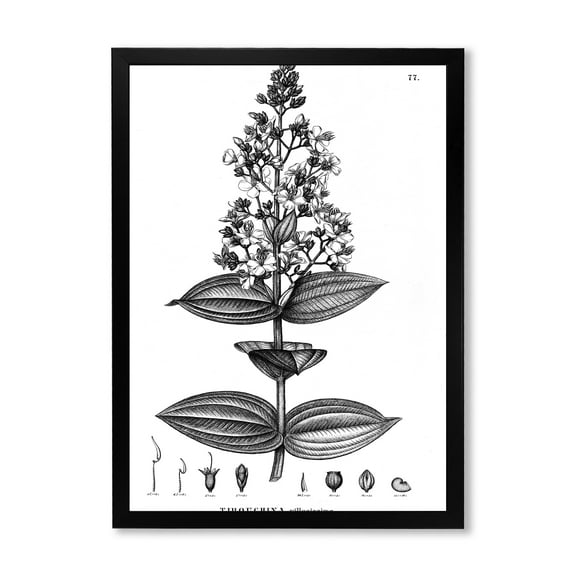Designart 'Ancient American Flora VI' Traditional Framed Art Print