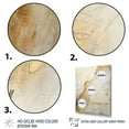 thumbnail image 3 of Designart "White Earth Minimalist Fossils II" Abstract Framed Wall Art - Modern White Abstract Collages Hallway Framed Wall Art Decor, 3 of 6