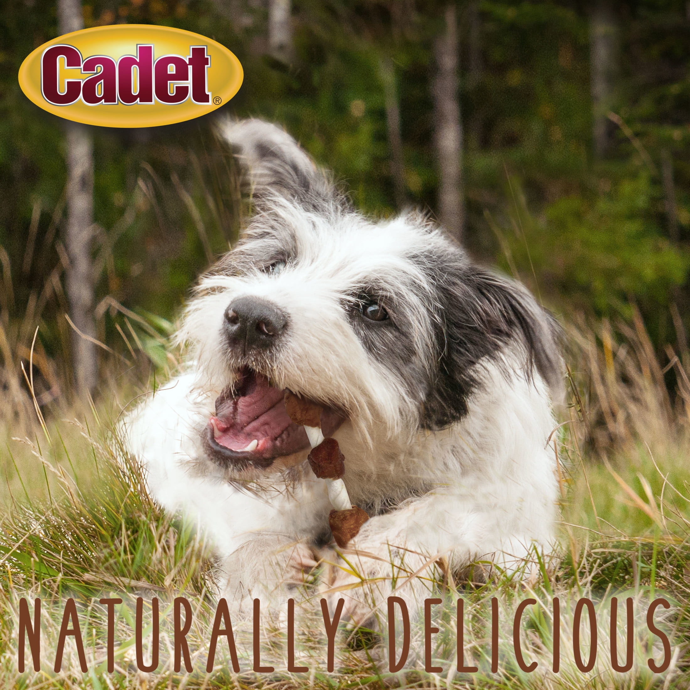 Cadet Gourmet Shish Kabob Dog Treats for Small Dogs, Chicken, Duck, & Sweet Potato Dog Chews, 5 Inch, 24 Ounce