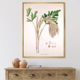 thumbnail image 2 of Designart 'Ancient Plant Life XV' Farmhouse Framed Canvas Wall Art Print, 2 of 5
