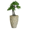 thumbnail image 1 of Artificial Faux Real Touch 4.09 Feet Pine Tree With Planter, 1 of 3