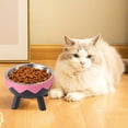 thumbnail image 2 of Elevated Cat Bowls, Raised Stainless Steel Cat Bowl with Cute Stand, 5.59in Wide Raised Food and Water Dish for Cats, Kitten, Puppies, 2 of 6