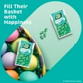 thumbnail image 2 of (12 Count) Tic Tac Wintergreen Breath Mints, On-The-Go Refreshment, Easter Basket Stuffers, 1 oz, 2 of 10