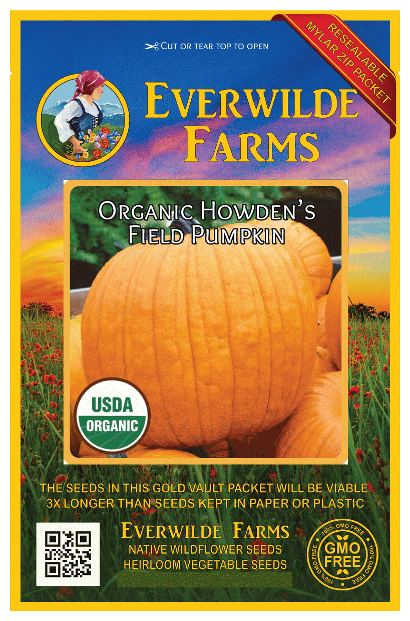 Organic HOWDEN 500 Heirloom Organic non-gmo Seeds  FREE Shipping Pumpkin Seed