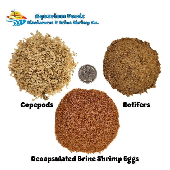 Coral Food Variety Pack - Decapsulated Brine - Rotifers - Copepods…2oz Each x 3 Food