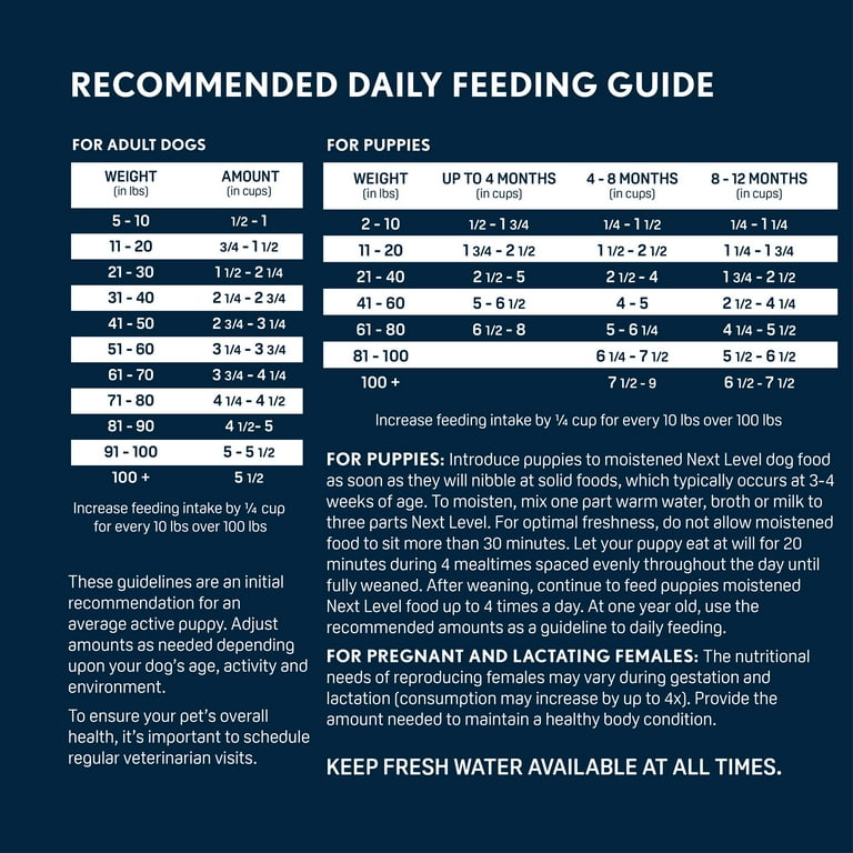 Next Level Ocean Catch Skin & Coat Recipe Dry Dog Food 4 lb with