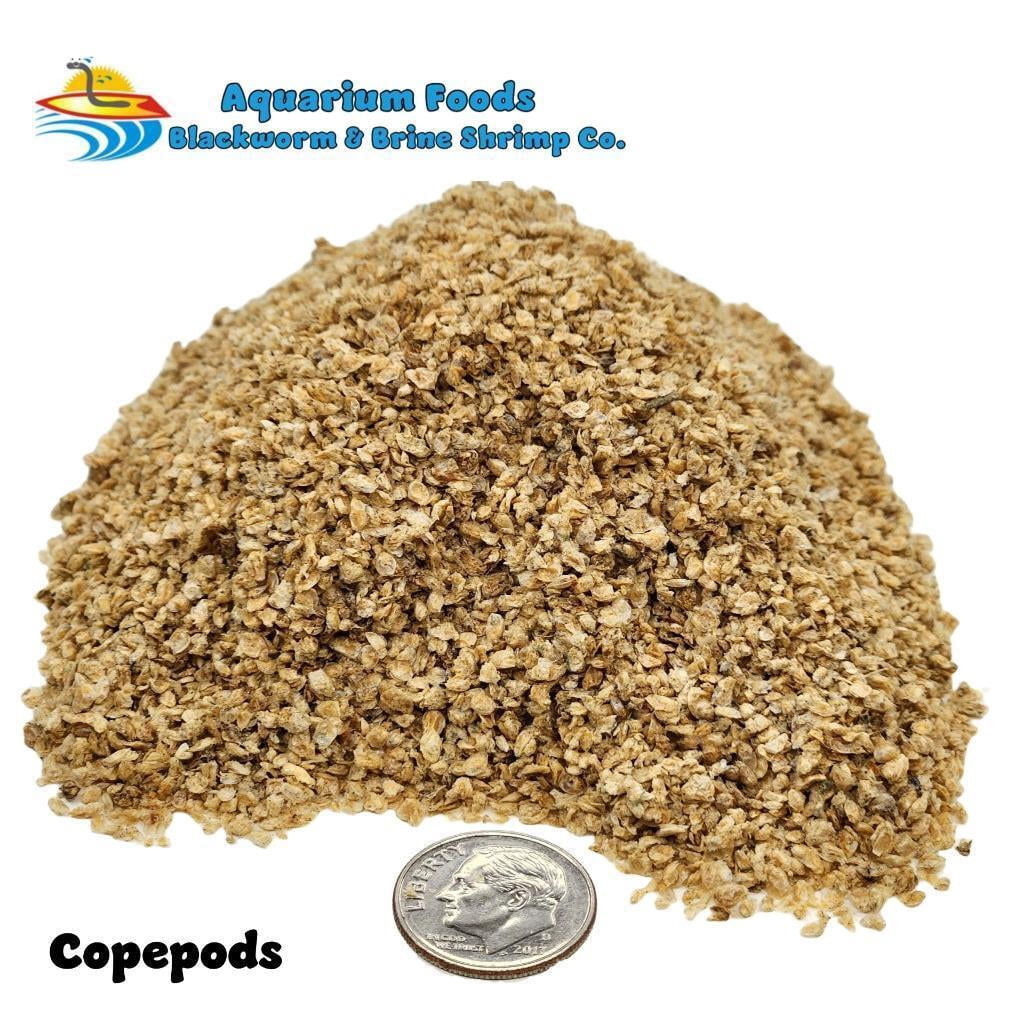 Coral Food Blend, Rotifers - Copepods - Decapsulated Artemia Cysts...1-lb