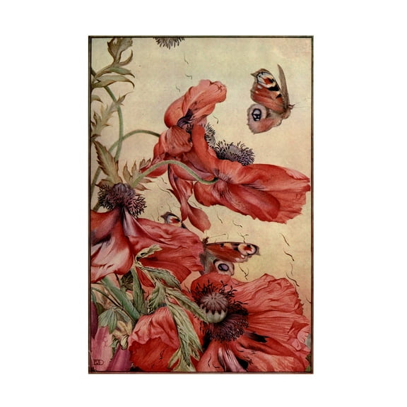 Unknown 'Garden Fantasy III' Canvas Art