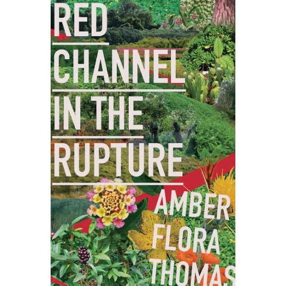 Red Channel in the Rupture (Paperback)