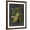 Brown Frame, variant on Art.com Midnight Botanical II Art Print by Vision Studio, 12" x 16"