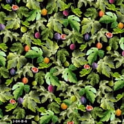 FREE SHIPPING!!! Conversational Pomegranate Botanical Design 100% Cotton Quilting Fabric for DIY Projects by the Yard - (Black, Green, Purple, and Red)