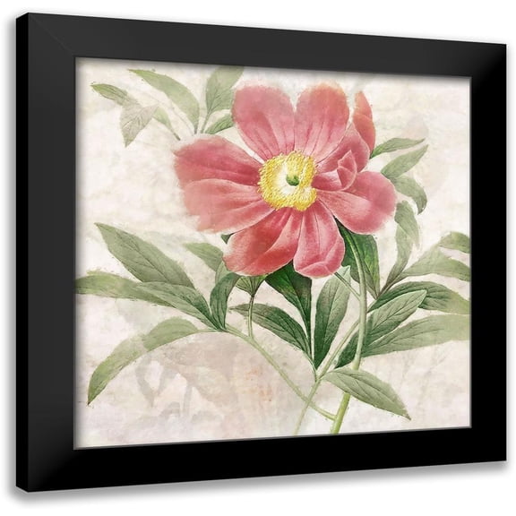 Hunziker, Steve 12x12 Black Modern Framed Museum Art Print Titled - Ruby Floral II