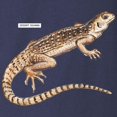 thumbnail image 4 of CafePress - Desert Iguana Long Sleeve Dark T Shirt - Long Sleeve Dark T-Shirt, 4 of 5