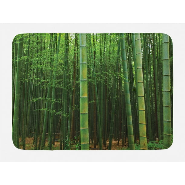 Bamboo Bath Mat, Picture of a Bamboo Forest Exotic Fresh Jungle Vision