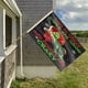 thumbnail image 4 of Bandera de exterior de Grinch de 2 x 3 pies, pancarta para exteriores, bandera de doble cara para casa, jardín, patio, desfile, cartel, decoración de fiesta, tapiz de pared, 4 of 8