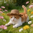 thumbnail image 6 of Pet Cat Sun Hat, Mini Cute Pet Cat Summer Sun Protection Hat, Adjustable Small Dog Beach Cap, Fashion Accessory for Cat Dog Outdoor Daily Activity, 6 of 8