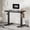 Black, variant on FitStand 40"x24" Adjustable Standing Desk, One-Piece Desktop Ergonomic Sit Stand Desk with 176lbs Load, 4 Memory Height Settings,  2 Hooks for Home Office, Light Brown