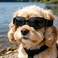 thumbnail image 3 of Gytml Dog Cat Sunglasses Uv Protection, Lightweight Adjustable Strap Pet Goggles, Windproof Eye Care Essential Outdoor Accessory For Small Medium Dogs & Cats(Black-12X3.5cm), 3 of 3