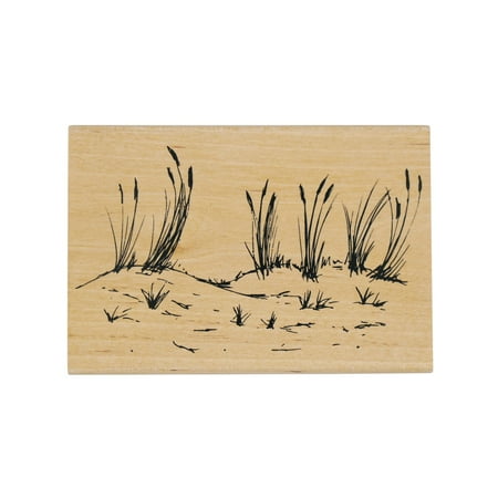 UPC: 0191518387636 | Beach Wood Stamp by Recollections™