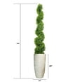 thumbnail image 4 of 73" Spiral Topiary in fiberstone planter, 4 of 5