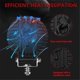 thumbnail image 2 of 4 Inch Car LED Work Lights Round Day Running Lights for Truck ATV UTV SUV Motorcycle Cart Trailer Bo, 2 of 5
