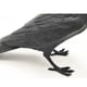 thumbnail image 4 of Lámpara de mesa moderna, lámpara de escritorio con forma de pájaro, aplique de pared con iluminación de pájaro de resina para sala de estar, dormitorio y oficina. Mesa Negra, 4 of 8